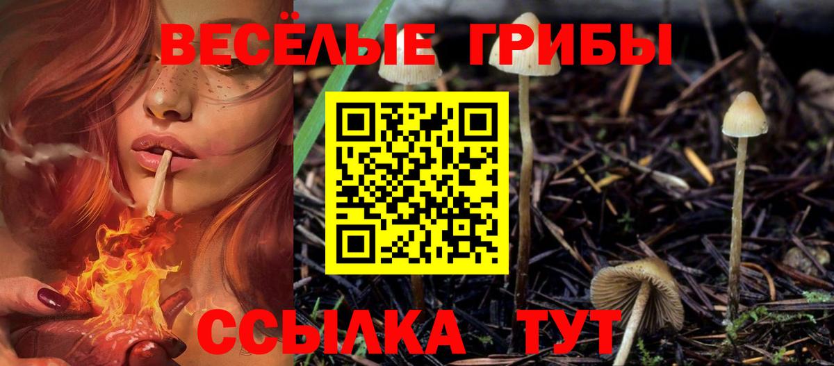Галлюциногенные грибы MAGIC MUSHROOMS  Вход с VPN  Магадан  Галлюциногенные грибы Magic Shrooms 
