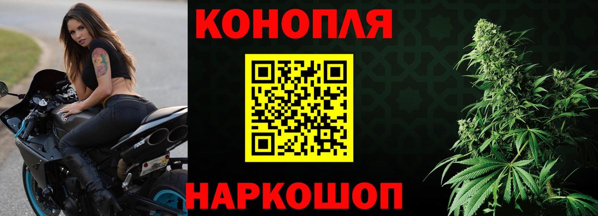 Каннабис сатива Магадан